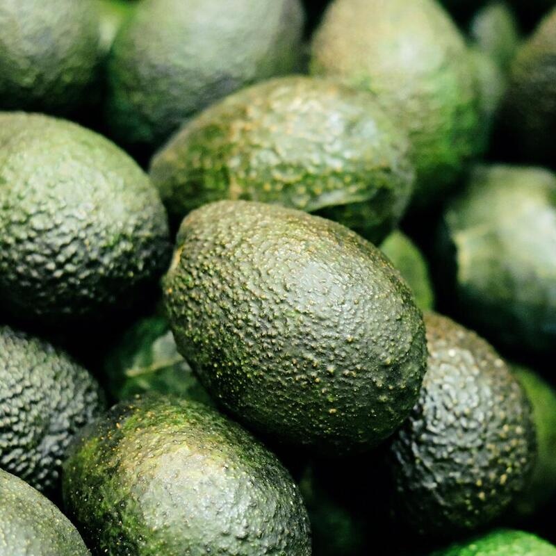 RAUSCH Farbschutz-Shampoo mit Avocado